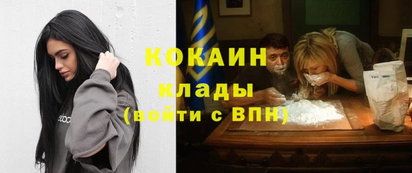 соль ск Лиски