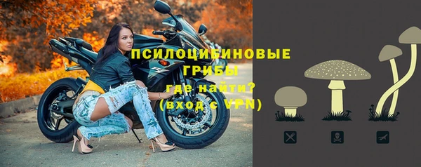 бошки Лагань